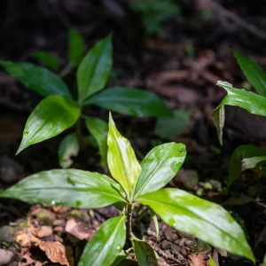 kouji tsuru nhcgx0v7gog unsplash